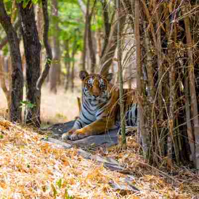 Shravanya Comforts Others