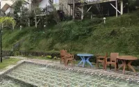 Miracle Signature Hills - Hot Springs