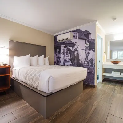 Equus Inn I75 Hotels near Blue Spring