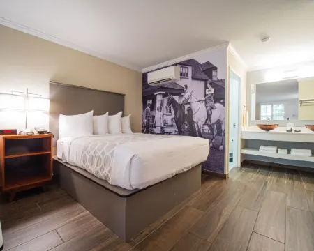 奧卡拉馬之旅館 奧卡拉酒店