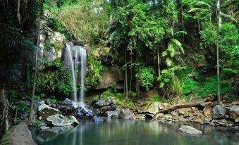 Tamborine Gardens