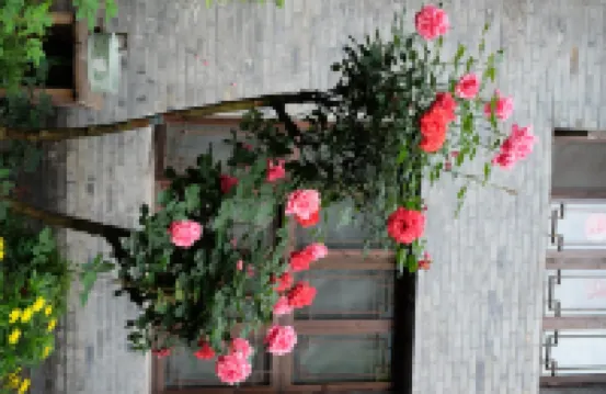 卡冰花園木屋別墅（尚水街1號分店）