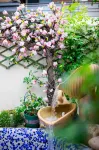 Sanle Jushi Villa (Haichang Street) - Pools