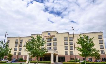 Comfort Suites Northlake