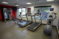 Hilton Garden Inn Temple Medical Center - Gym