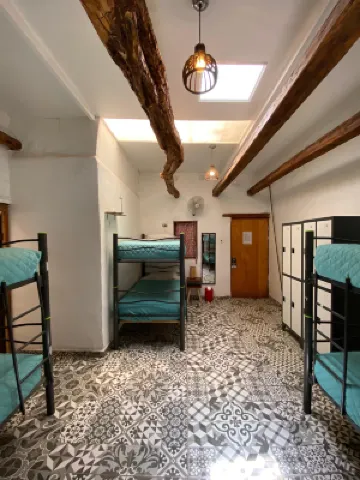 Rey Lagarto Hostel Отели в г. 