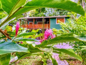 The Green Jungle & Tree House Caribe