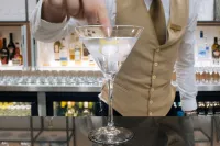 Sofitel London Gatwick - bar