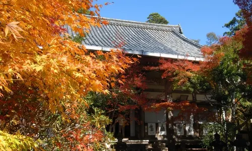 Momijiya Honkan Takaosansou