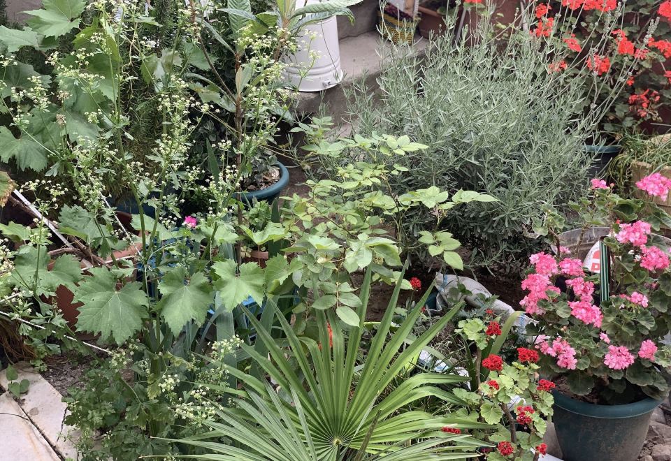 유어 하우스 이미지1