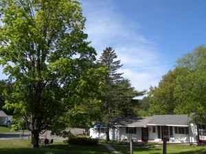 Cambria Hotel North Conway