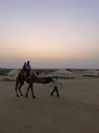 Golden Sands Desert Camp , Raisar, Bikaner - ห้องครัว