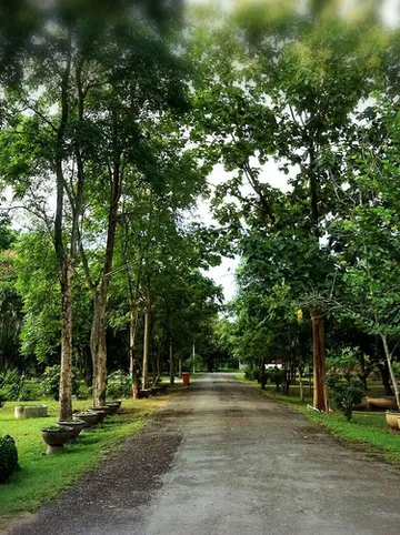 รูปภาพของบ้านไร่ในฝัน