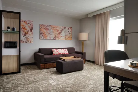 SpringHill Suites Minneapolis-St. Paul Airport/Mall of America