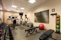 Hilton Garden Inn Cartersville - Gym