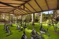 Viva Cala Mesquida Suites & Spa - Spor Salonu