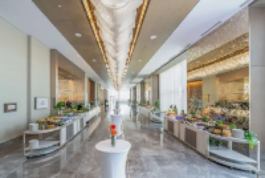 힐튼 아부 다비 야스 아일랜드