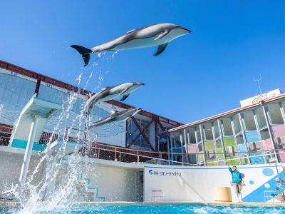 ウォーターパーク ホテルサンバレー伊豆長岡 本館の写真