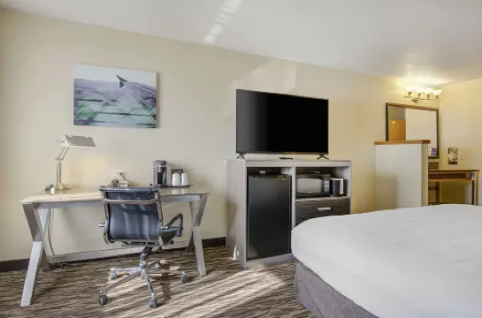 เบสท์เวสเทิร์นพลัส เปปเปอร์ทรีแอร์พอร์ตอินน์