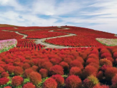 久慈サンピア日立 日立市のホテル