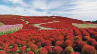 Kuji Sanpia Hitachi Hotels in Tōkai