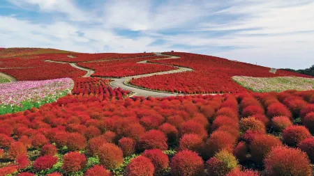 Kuji Sanpia Hitachi Отели рядом с достопримечательностью «Kujihama Beach»