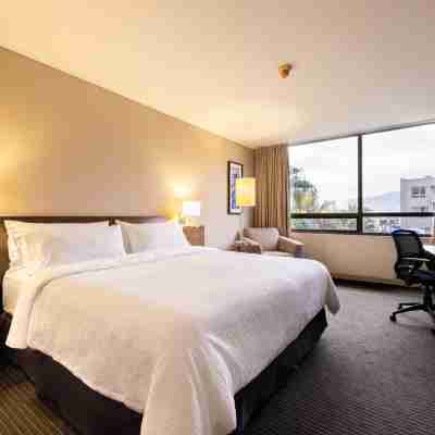 Holiday Inn Express 伊基克 Rooms