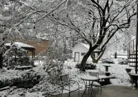 The Alden House