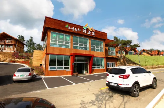 보성녹차리조트