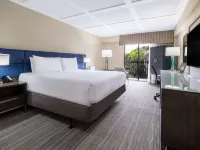Wyndham Boca Raton Hotels near Lynn University