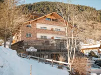 Alpen Suites Brandnertal Hotels in Brand