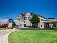 Hampton Inn Oklahoma City-I-40 East (Tinker AFB) Hotels in Del City