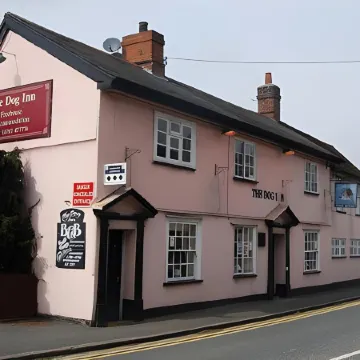 The Dog Inn