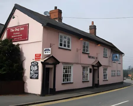 The Dog Inn Hotels in Halstead