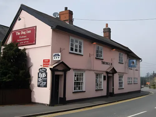 The Dog Inn Hotels in Halstead