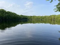 Brand New Build on Private Lake! Starlink Internet!