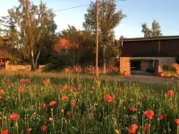 Ferienwohnung V auf Hof Himmelgrün mit 49qm Hotels in Saal
