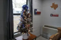 Texas Bluebonnet Tiny House #255 at Copperas Creek