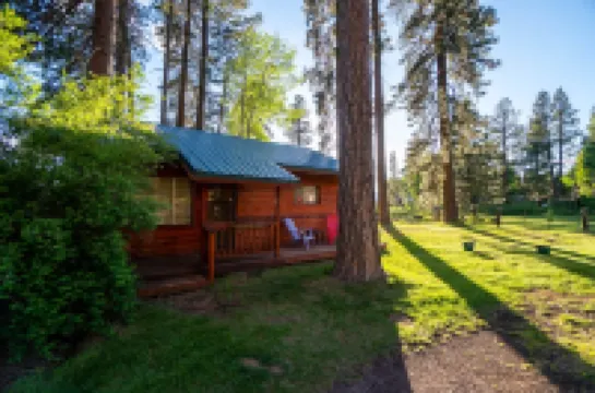The Cabin on Crooked Creek