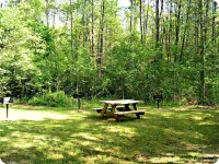 Bear Paw Cottage #4 Queen Adorable ;Hot Tub; Pet Friendly;2Adults/2 Children max Các khách sạn gần Anna Ruby Falls