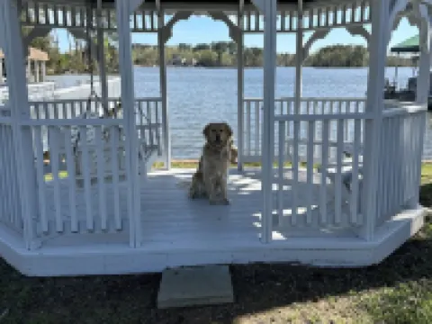 Dock Holiday - beautiful views on Badin Lake Hotels in Eldorado