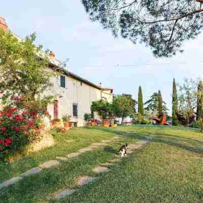 Apartment/ flat - San Casciano in Val di PesaApartment in Farmhouse Hotel Exterior