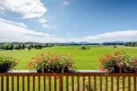 Fantastic "Hochgern" vacation apartment on the Fasanenhöhe horse farm
