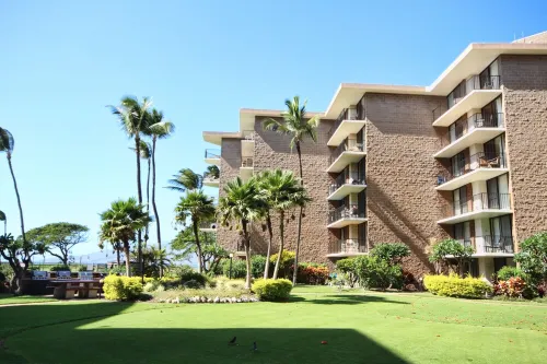Premier Ocean View! King Luxury Bed, A/C, Clean, Cozy, Updated, Wifi, Beach Gear