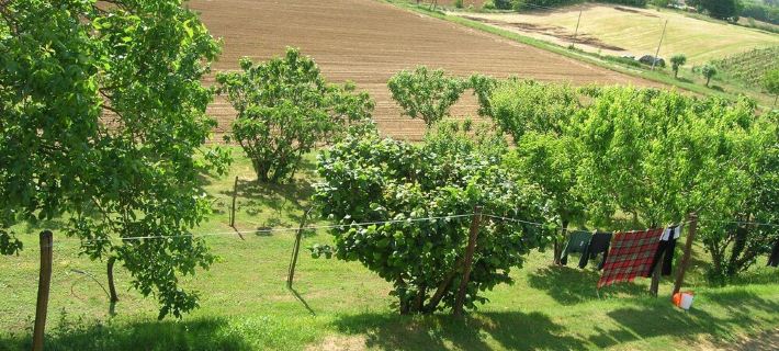 Independent house in the hills of the Sienese countryside Hotels in Sovicille