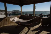 Beach Front South End, Designer Decorated, Dream Retreat on Tybee Island!