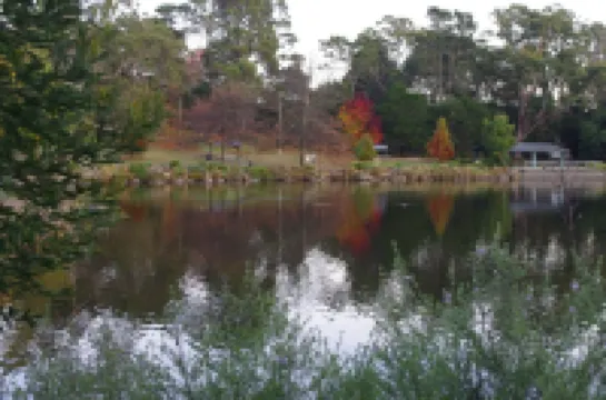 Luxury Heritage Cottage In The Heart Of Town Hotels in Mittagong