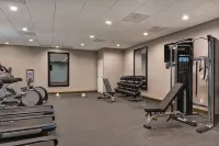 Hampton Inn Chula Vista Eastlake - Gym