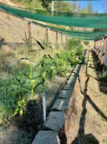 Trinity River Estate