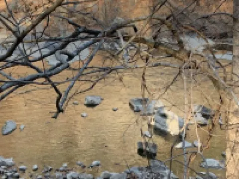 Pappys place at Smoke Hole Pendleton County otelleri